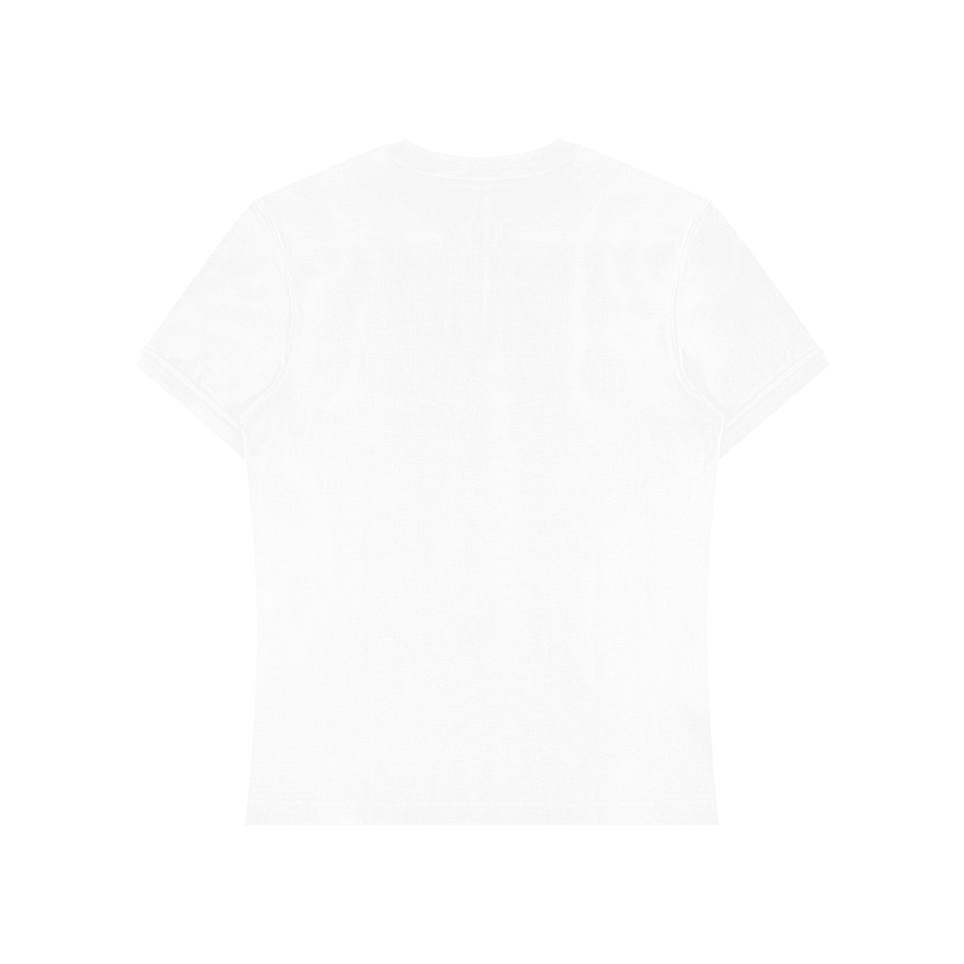 Coat of Arms Slim Fit T-Shirt - | 234 Collectives